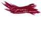Hair Scope Hairdressing - Adelaide Hairdresser
