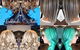 Emblematic Hair N Beauty Studio - thumb 0