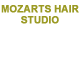 Mozart's Hair Studio - Adelaide Hairdresser 0