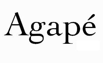 Erin's Hair Design - Adelaide Hairdresser 0