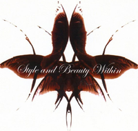 Style amp Beauty Within - Adelaide Hairdresser