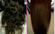 Glam Lady Hair Extensions - thumb 1