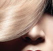 Le Piaf Hair Salon - Adelaide Hairdresser