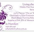 Living the Dream - Mobile Hair Extensions amp Spray Tan - Adelaide Hairdresser