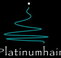 Platinumhair amp Makeup - Adelaide Hairdresser