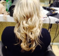 SIRE SALON by tony perri