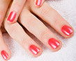 Heavenly Oasis Hair & Beauty Day Spa - Adelaide Hairdresser 6