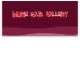 Muse Hair Gallery - Adelaide Hairdresser 0