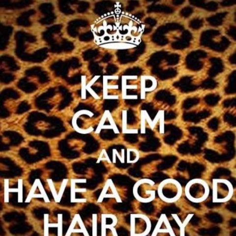 Kurl Up & Dye - Adelaide Hairdresser 5